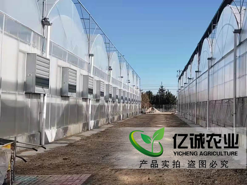 溫室大棚建設廠家